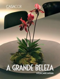 São Paulo respira design com o DW! Capa livro A Grande Beleza 228x300 - São Paulo respira design com o DW!