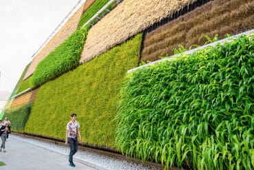 revistaSIM Responsabilidade ambiental Destaque Credito Eugenio Marongiu Shutterstock.com 3 370x247 - Responsabilidade Ambiental:  requisito indispensável para arquitetos