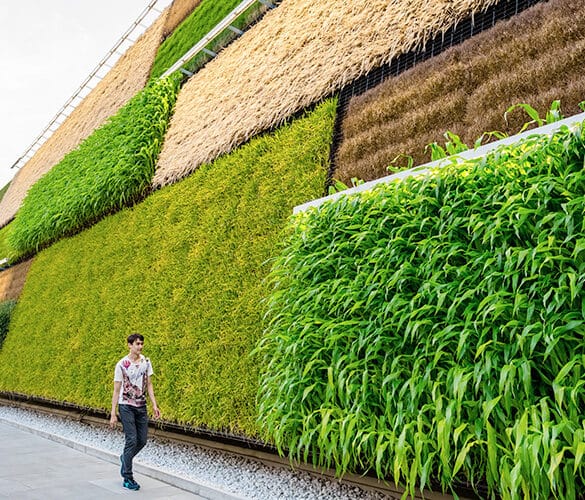 revistaSIM Responsabilidade ambiental Destaque Credito Eugenio Marongiu Shutterstock.com 3 585x500 - Responsabilidade Ambiental:  requisito indispensável para arquitetos